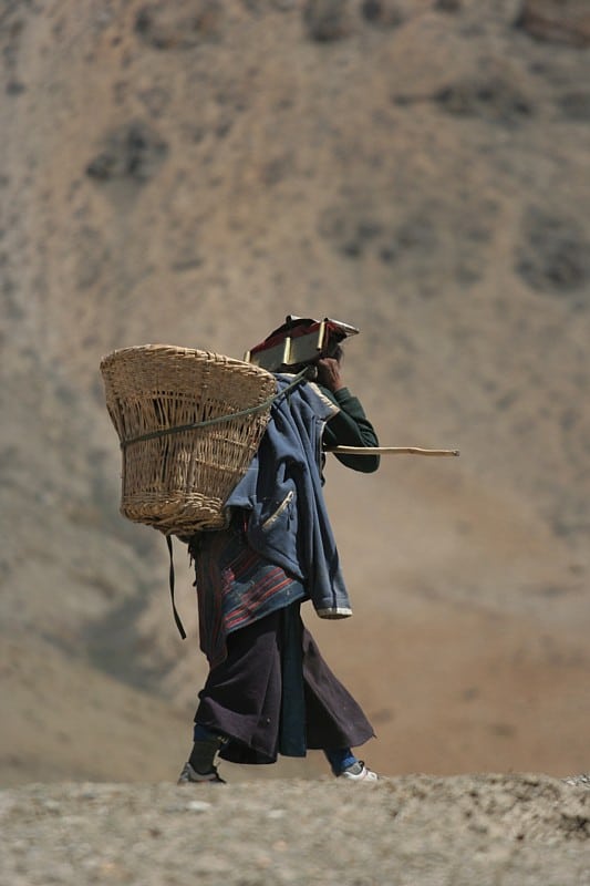 Woman carrying wood on her back