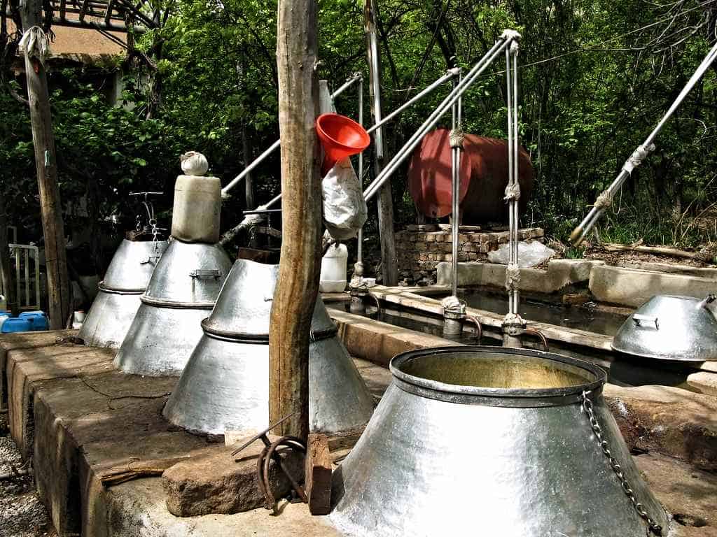 cauldrons to extract rosewater from the rosepetals in Qamshar during rose harvest in May and June