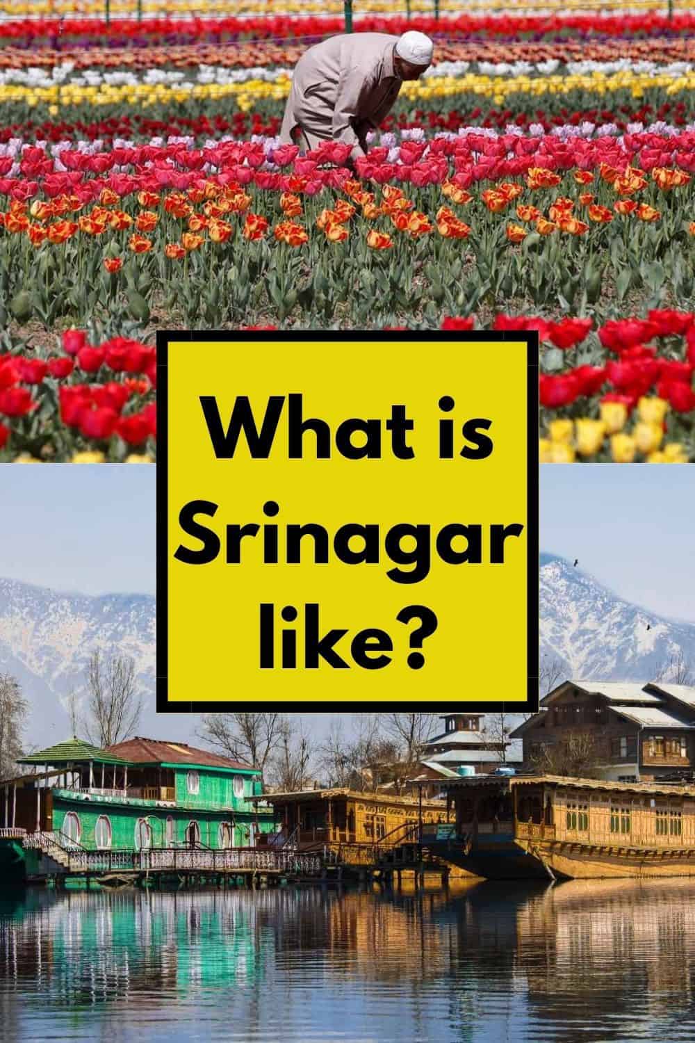 Srinagar is a unique place in India that was once a top tourist destination. Due to security isssues tourism almost disappeared in the 1990s, but in the last years Srinagar started to ttract tourists again. This guide tells you about what kind of place Srinagar is and all you need to know about the best places to visit and things to do in Srinagar. It has so much to offer for visitors: Shlaimar Bagh and Nishat Bagh gardens, Shikara ride on the Dal lake, floating gardens, Shankaracharya Hindu temple, Shah Hamadan and Hazratbal mosque #best time to visit Srinagar #mosques in Srinagar #what is Srinagar like #best things to do in Srinagar