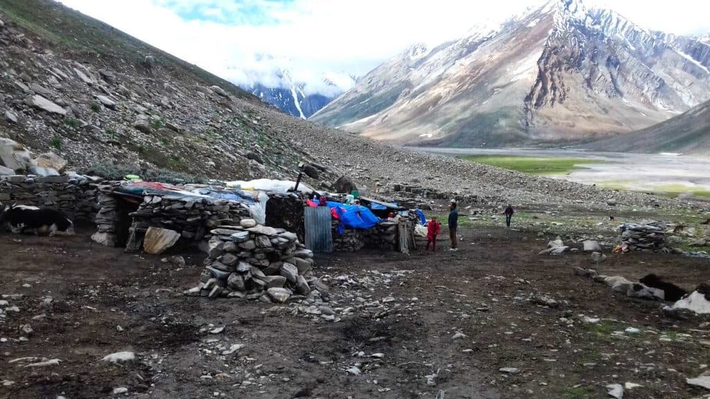 Nomads in Ladakh are part of Ladakhi culture