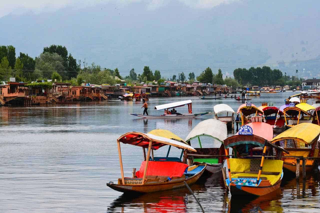 Shikara boats on the Dal lake