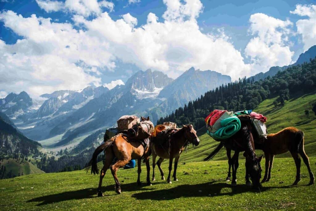 Horseriding in Kashmir