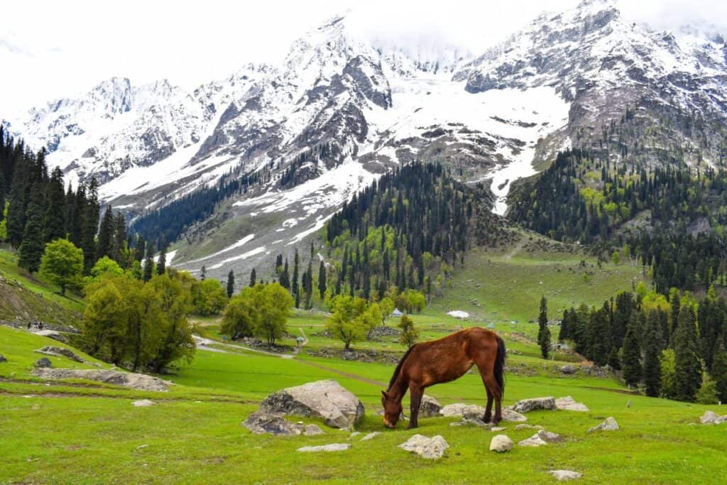 best places to visit in Sonmarg Kashmir