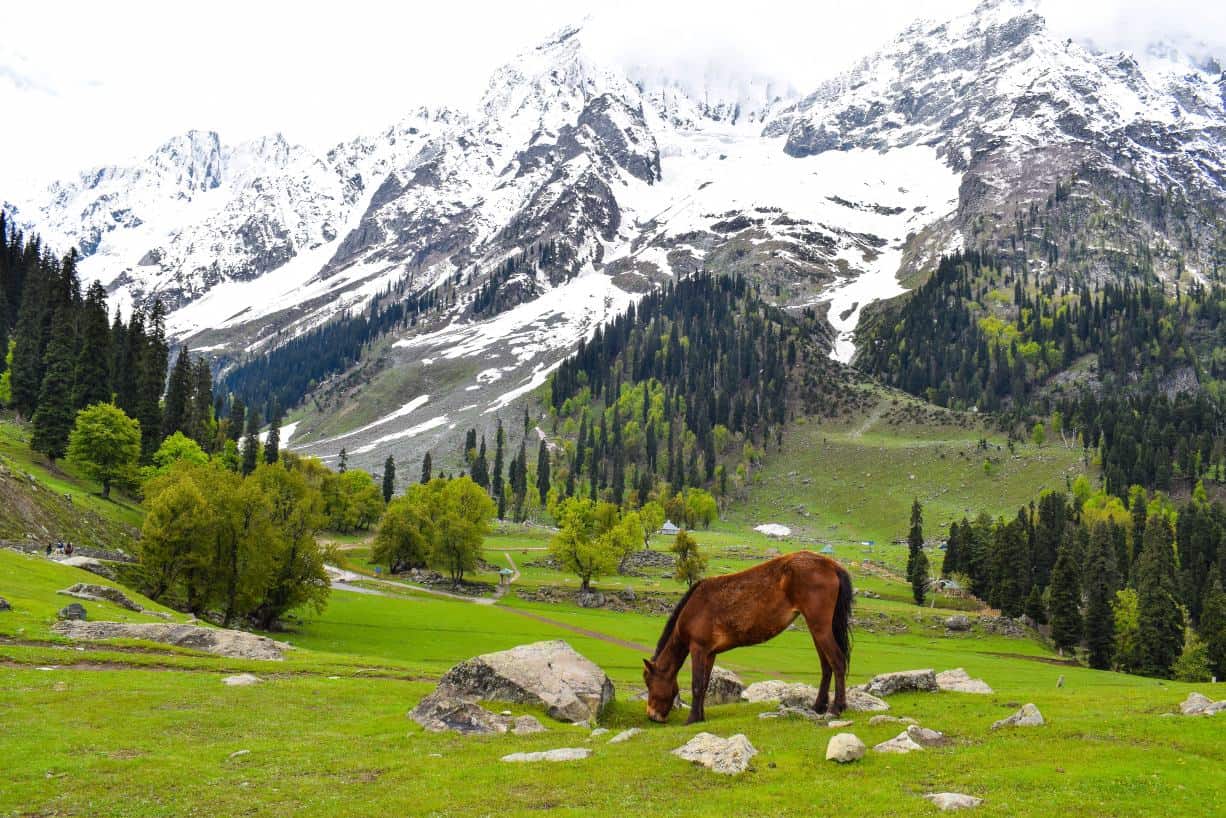 best places to visit in jammu and kashmir in august