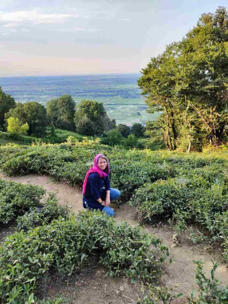 Among the tea plantations in Lahijan