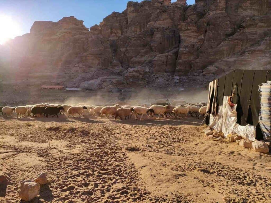 Bedouin life in Petra