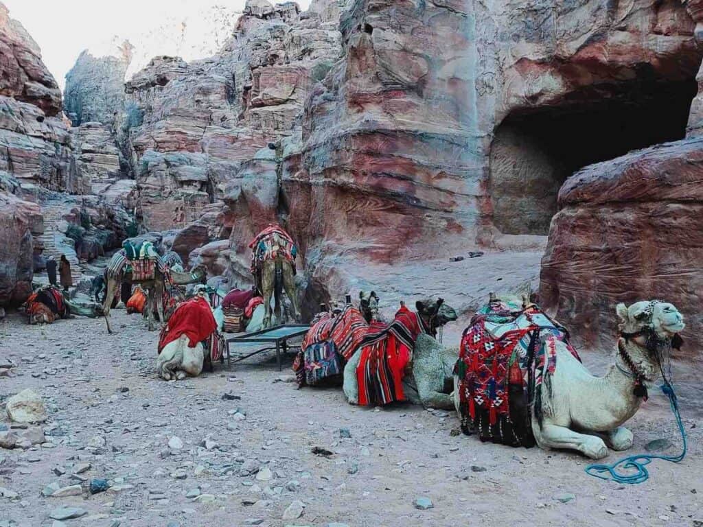 Petra Monastery Trail
