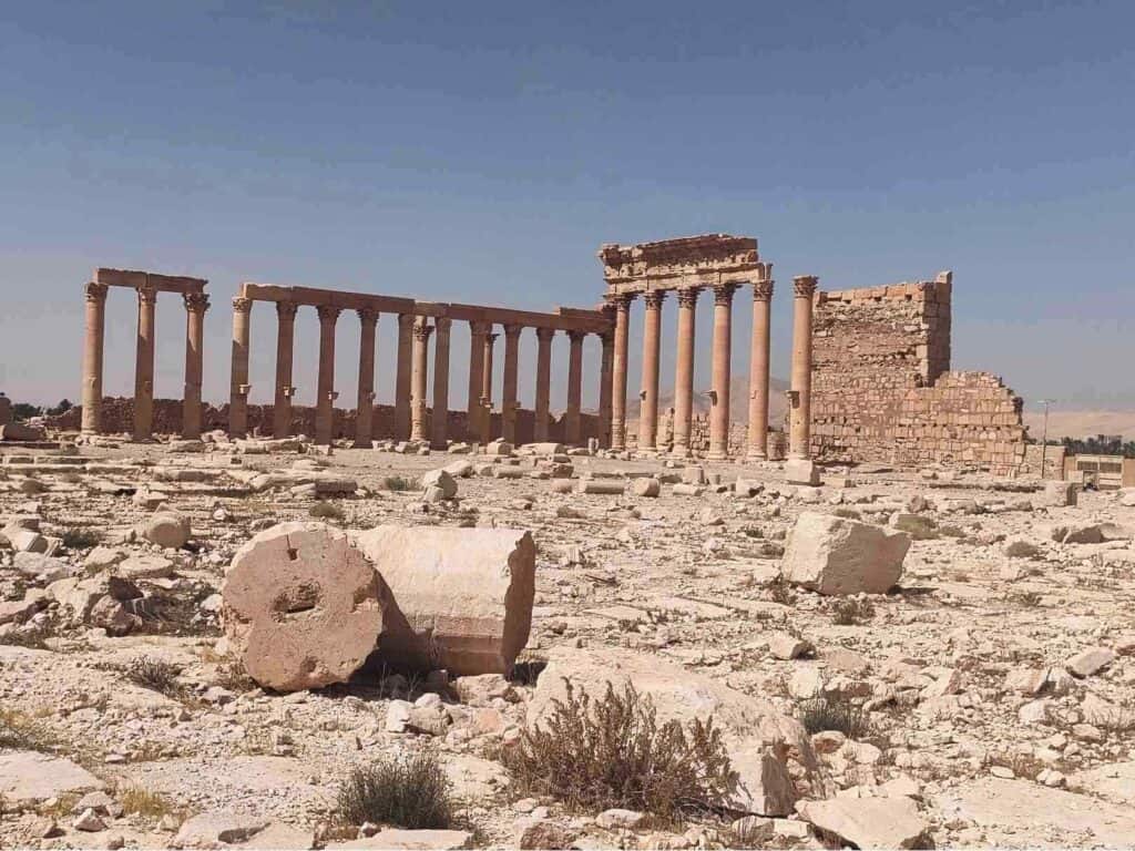 Palmyra in 2024